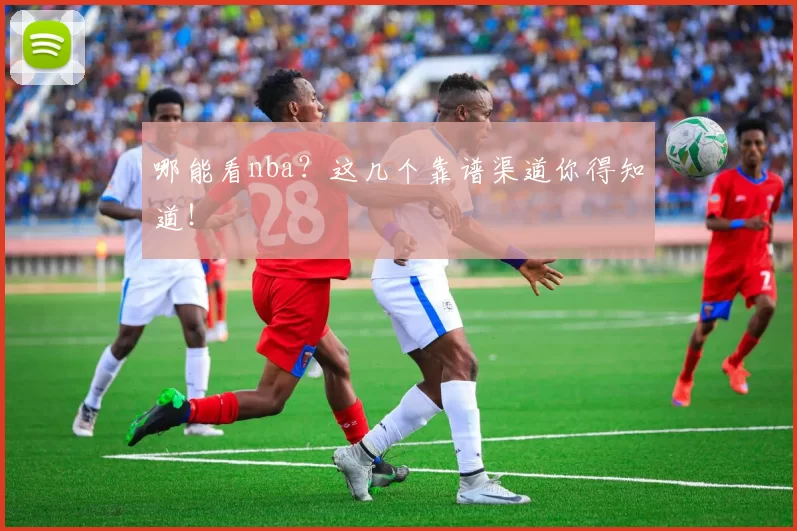 哪能看nba？这几个靠谱渠道你得知道！