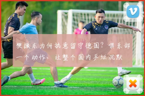 樊振东为何执意留守德国？俱乐部一个动作，让整个国内乒坛沉默