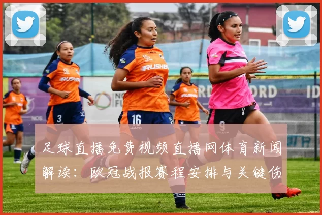 足球直播免费视频直播网体育新闻解读：欧冠战报赛程安排与关键伤停信息影响预测